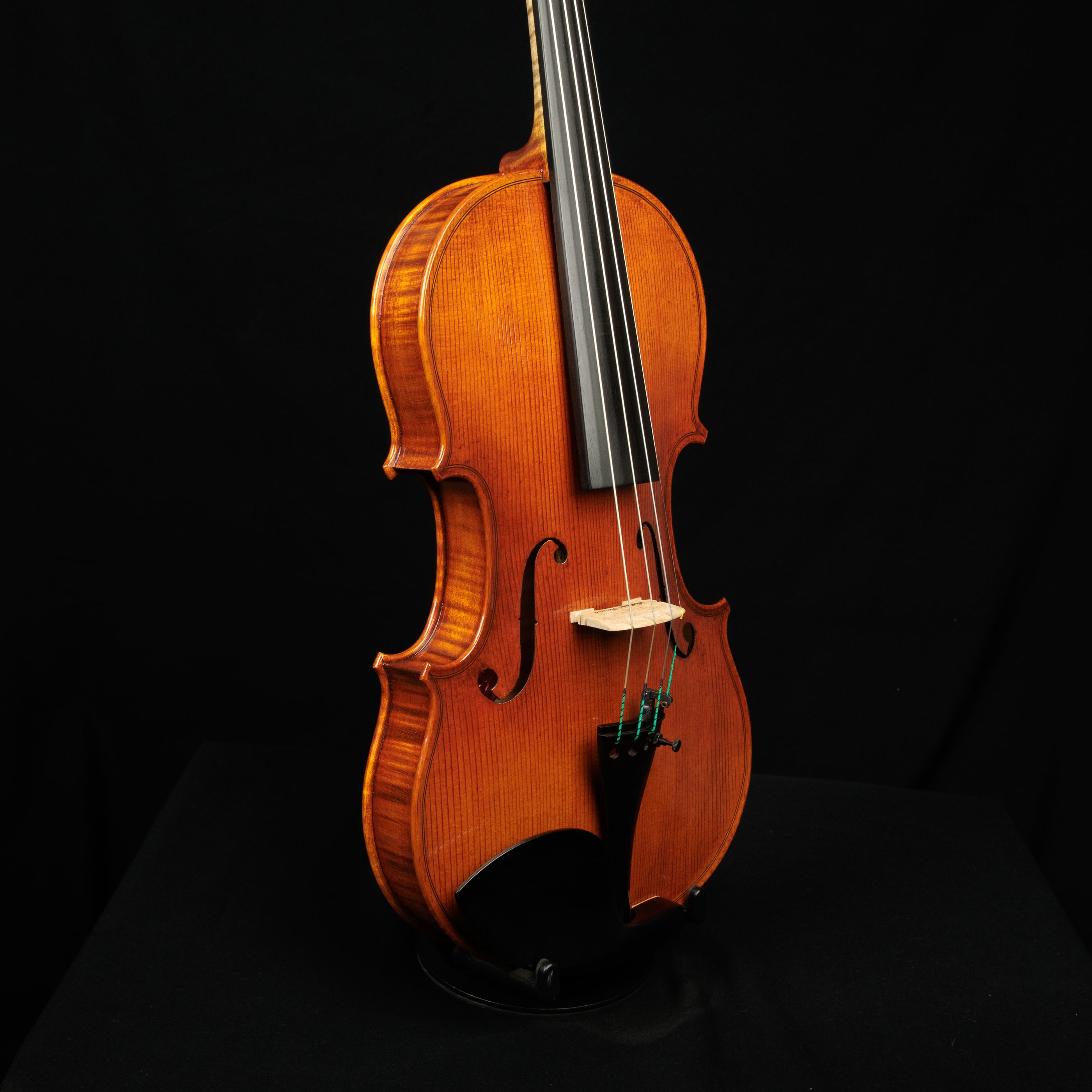 Violino